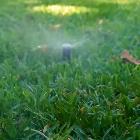 Watering Restrictions in the Fort Worth Area: How to Keep Your Lawn Alive Through Stage 1 and Stage 2