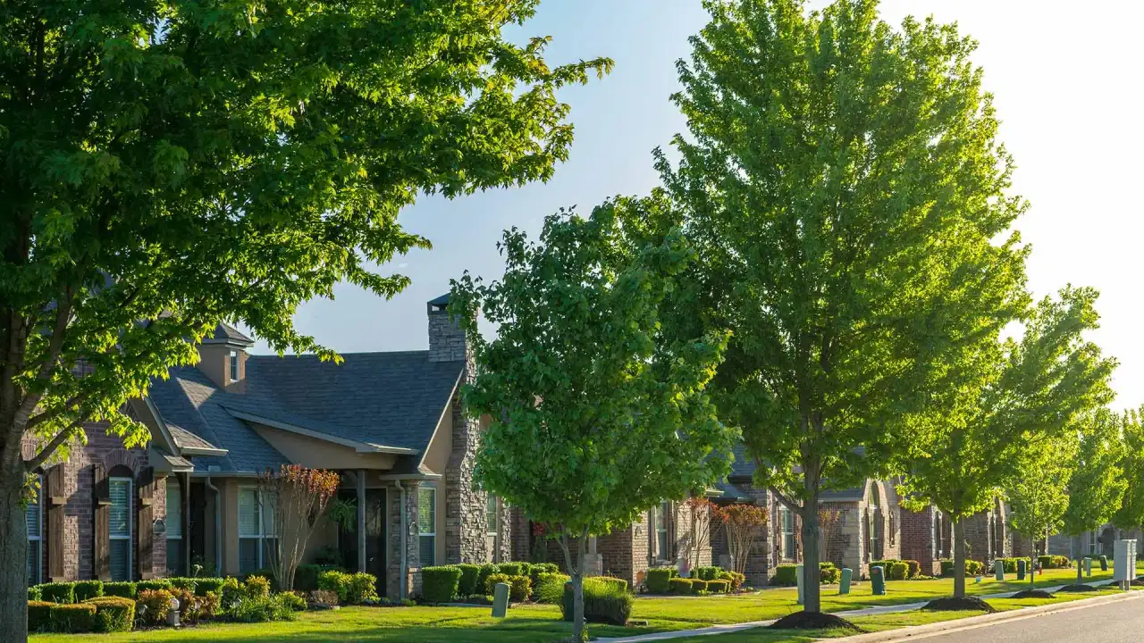 Tree Stress Signs in Fort Worth Summer: 6 Things That Mean Your Mature Trees Need Attention Now