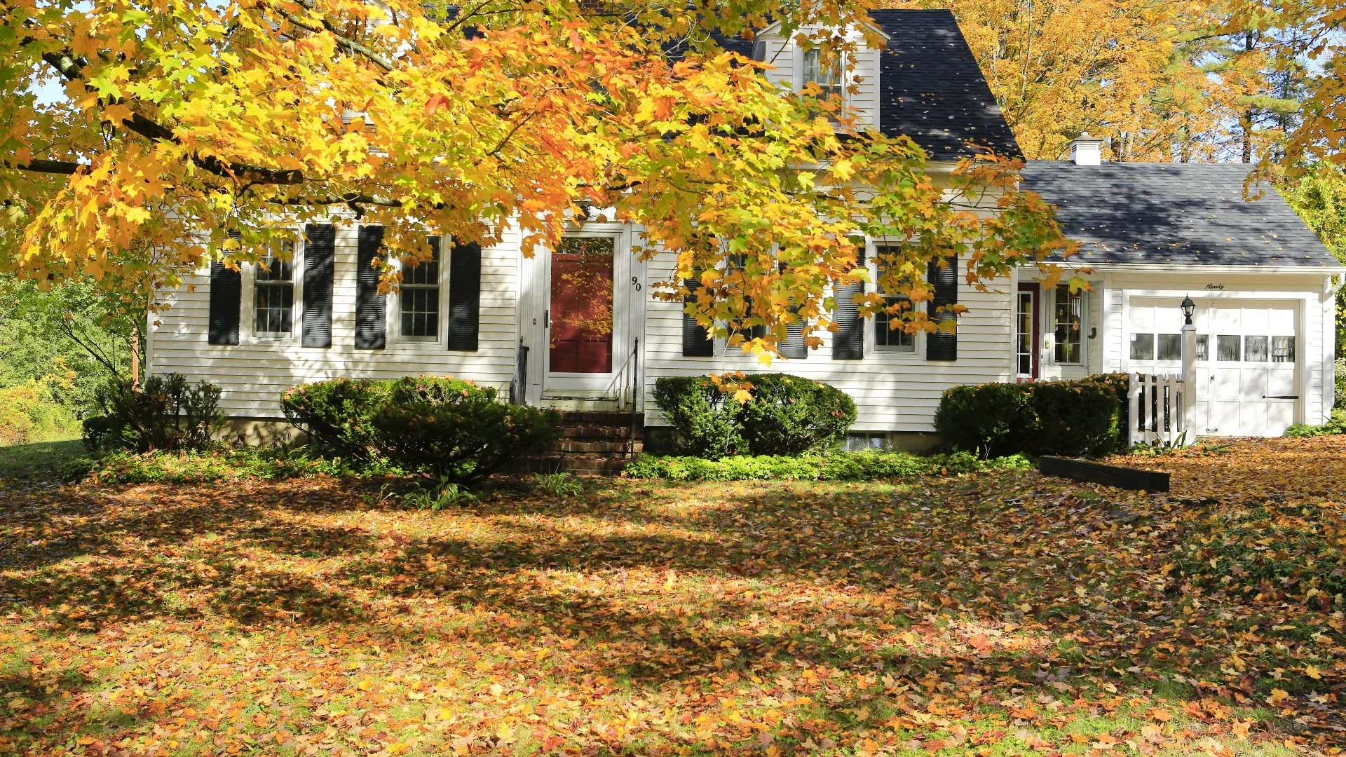 3 Ways You Can Clean up Leaves From Your Yard