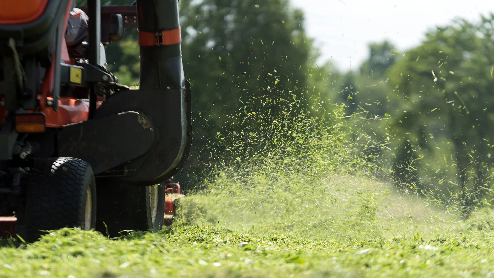Should You Mulch or Bag Your Grass Clippings?