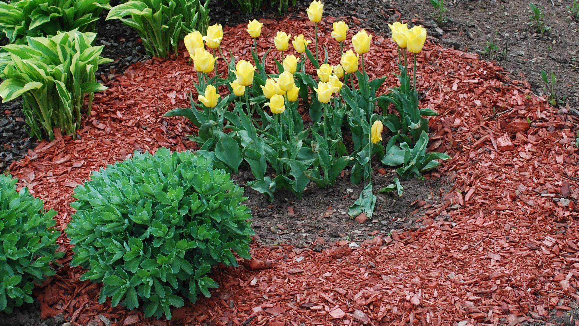 How Often Should I Refresh the Mulch in My Landscape Beds?
