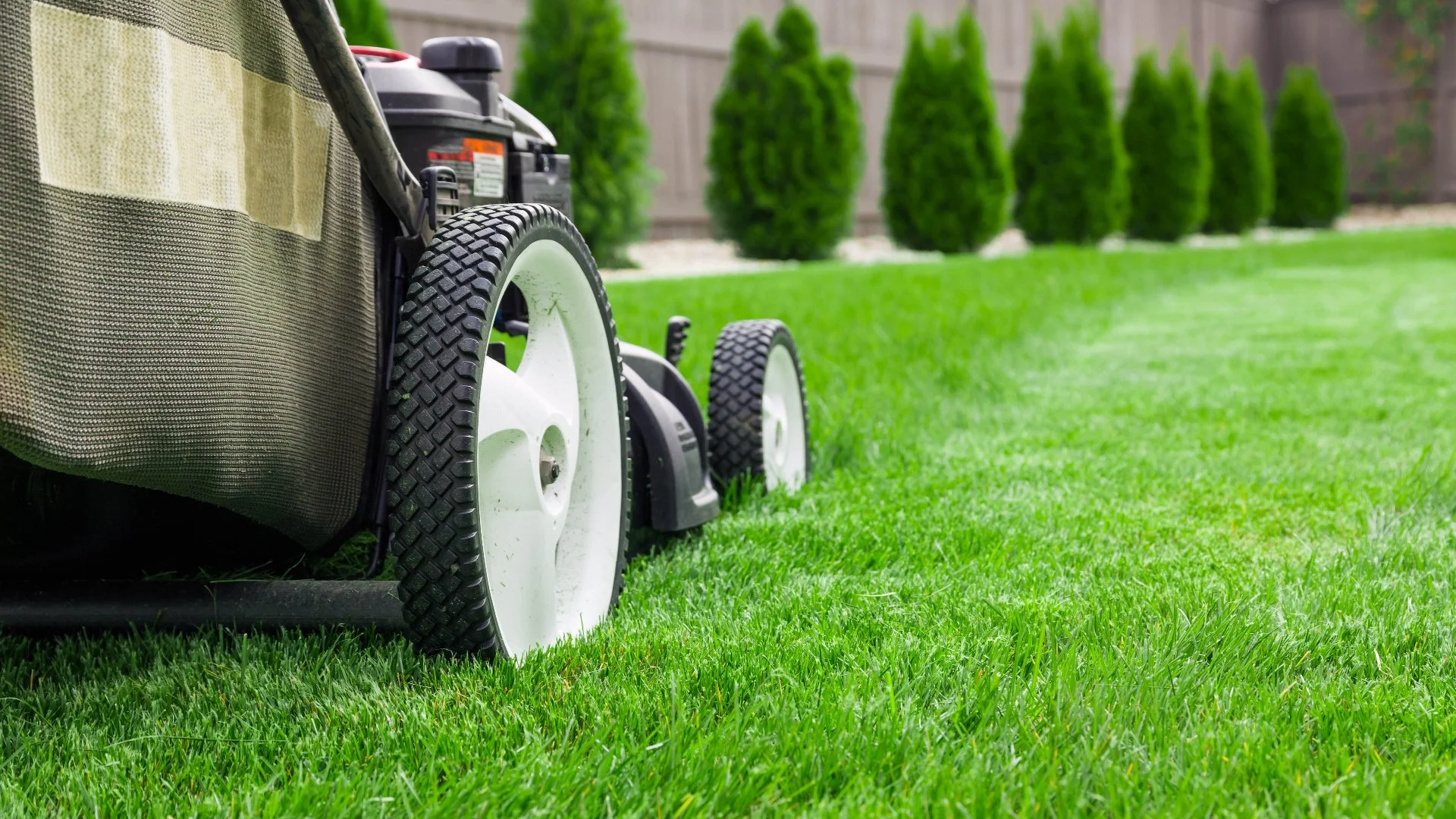 How Often Should You Be Mowing Your Lawn in Texas?