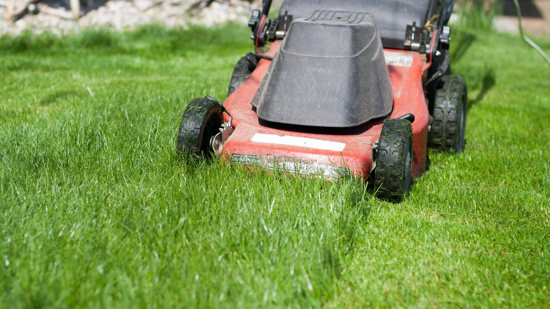 4 Huge Mistakes You Could Be Making While Mowing Your Lawn