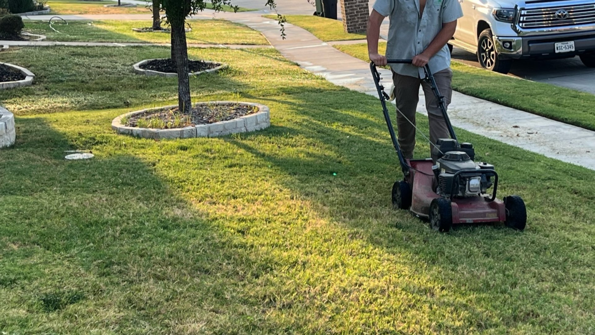 Should I Wait to Mow My Lawn After It Rains?