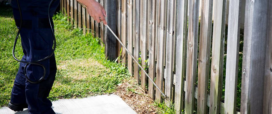 Lawn care professional applying perimeter control treatment along a fence in Keller, TX.