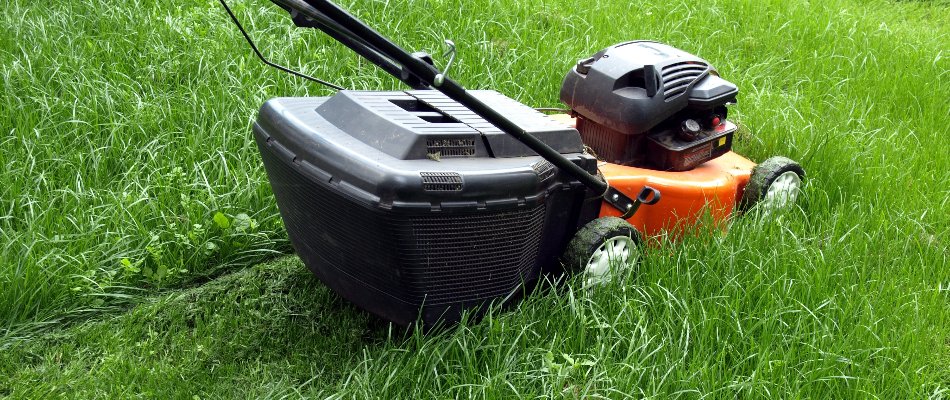 A red lawn mower in use on a property in North Richland Hills, TX.