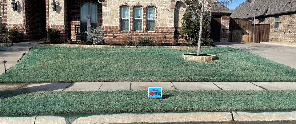 Green pre-emergent added to lawn in Saginaw, TX.