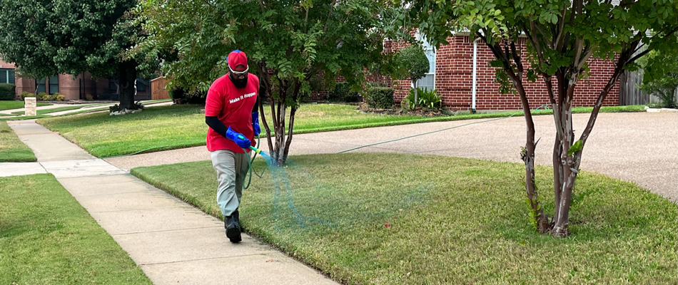 A professional spraying pre-emergent to lawn in Roanoke, TX.