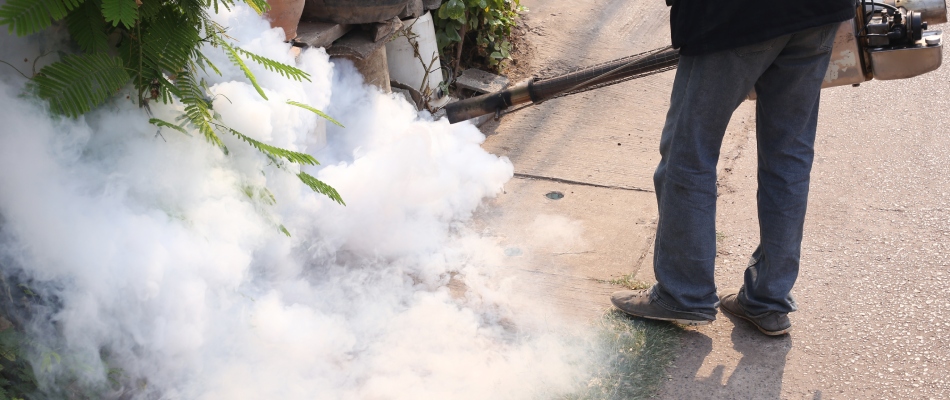Professional using mosquito fogger to apply treatment to bushes in Saginaw, TX.