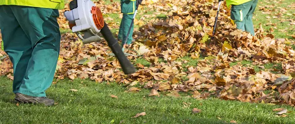 Removing fall leaves with leaf blowers in Watauga, TX.