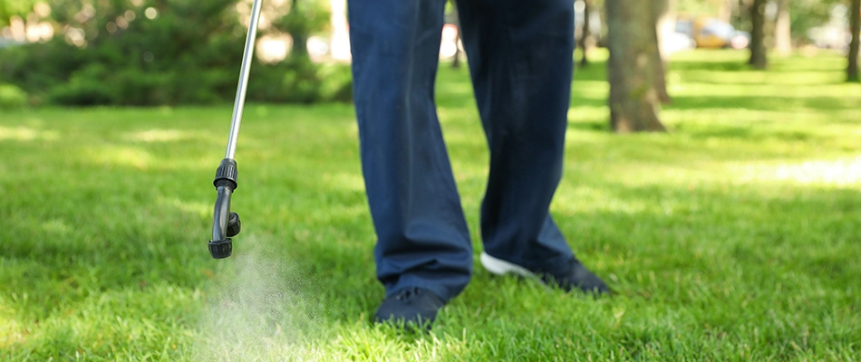 Lawn care treatment being applied by a professional in Lakeside, TX.