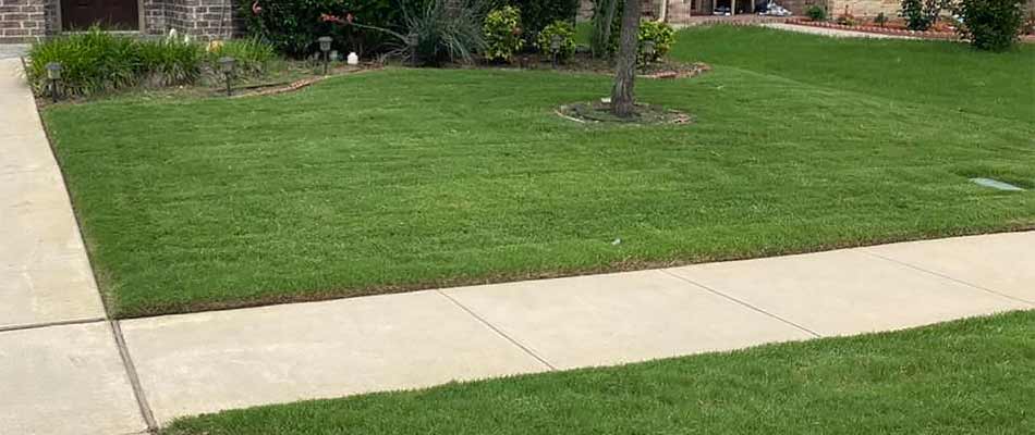 Thick, green lawn grass at a property in Saginaw, TX.