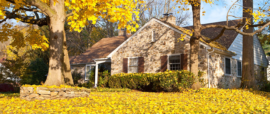 Yellow leaves covering a home's lawn in Haslet, TX.